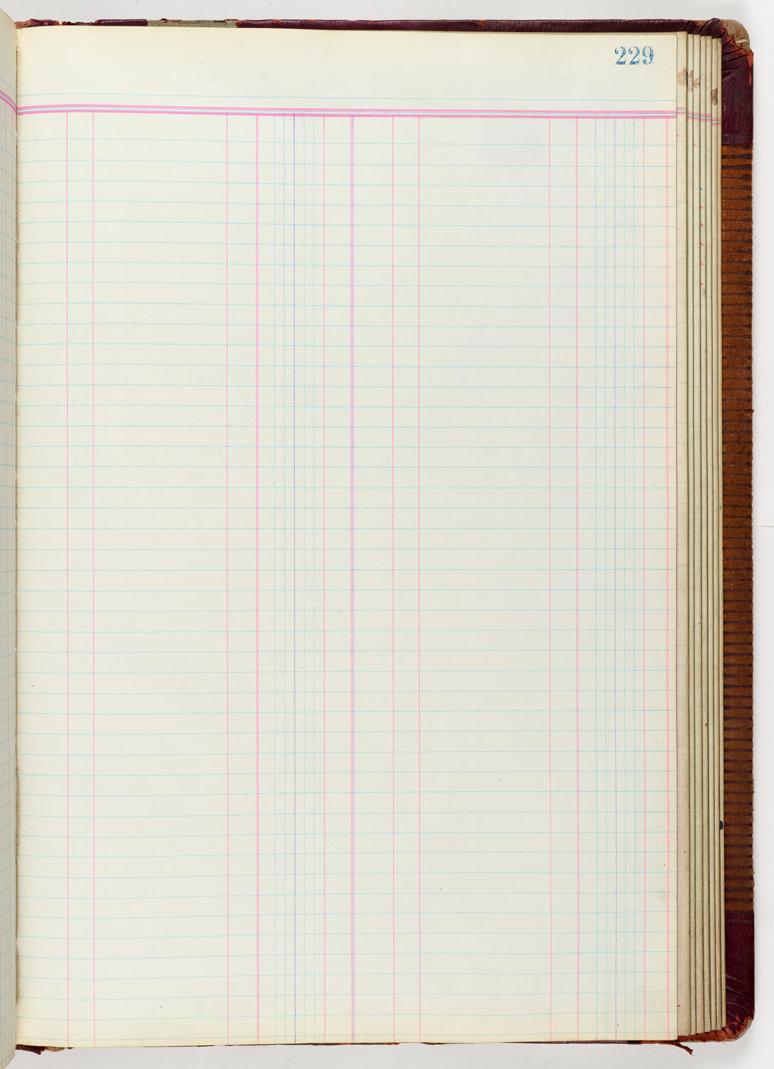 Music Hall Accounting Ledger Journal, volume 6, page 229
