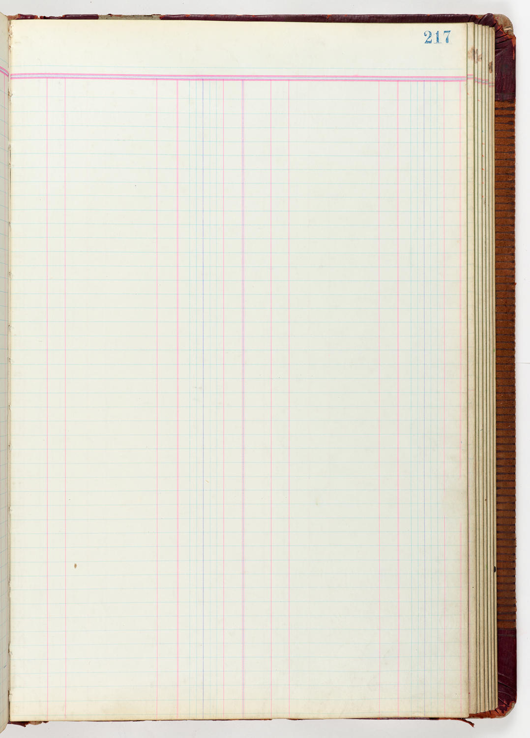Music Hall Accounting Ledger Journal, volume 6, page 217