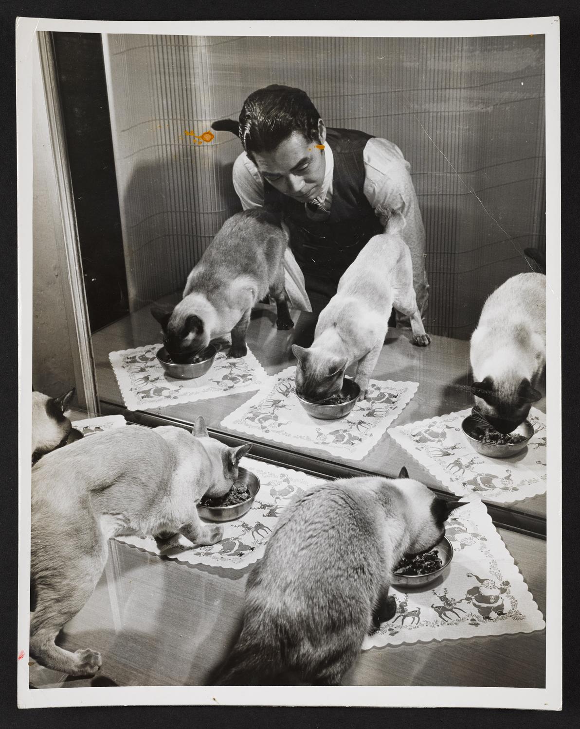 Yeichi Nimura, feeding cats in Ballet Arts, Carnegie Hall Studio #60