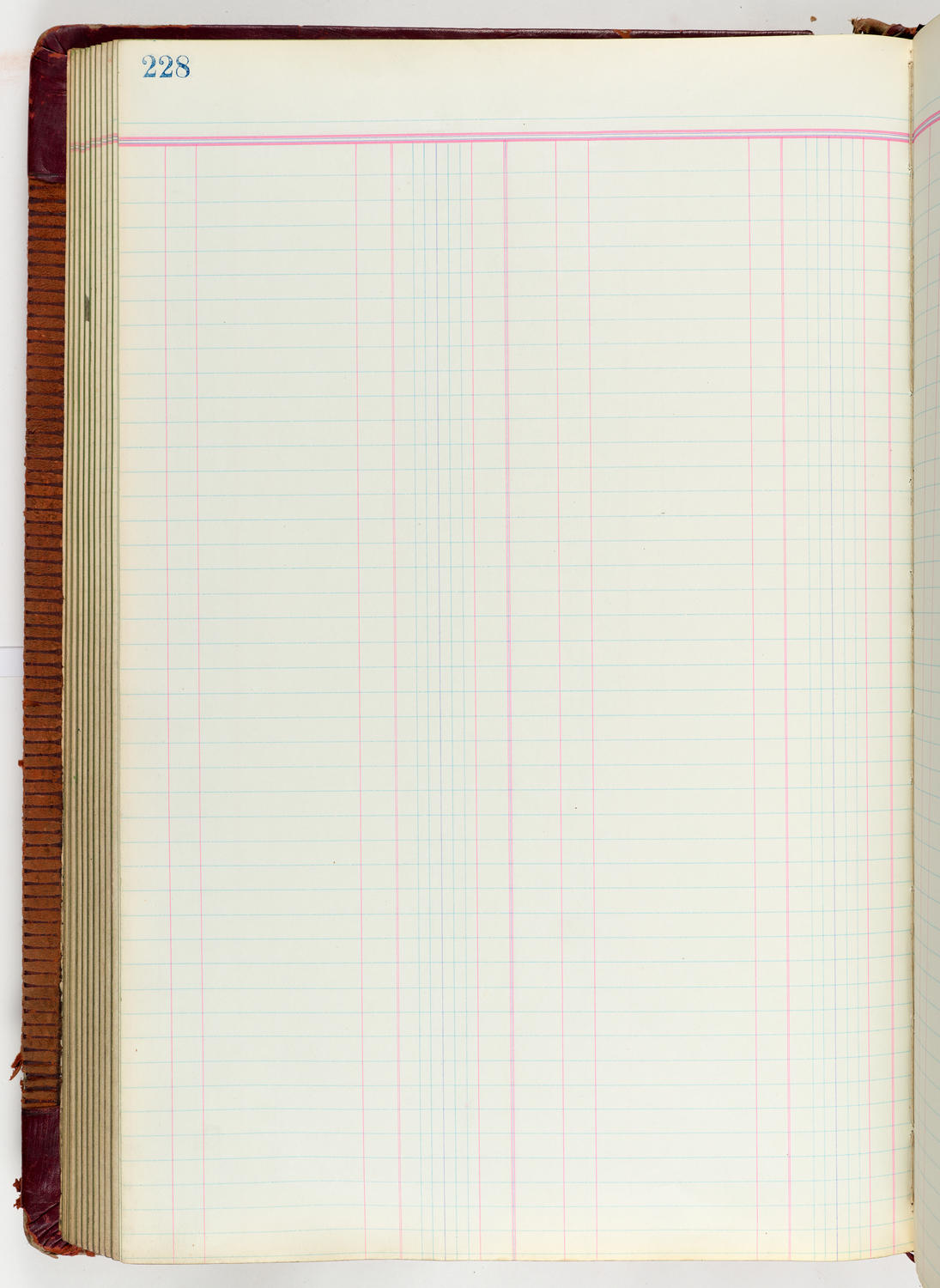 Music Hall Accounting Ledger Journal, volume 6, page 228